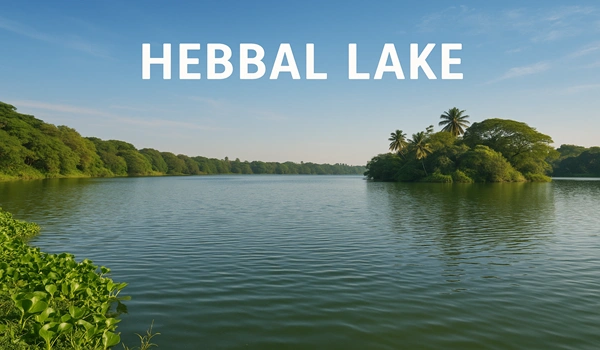 Bridge over Bellary Road, linking to scenic Hebbal Lake view